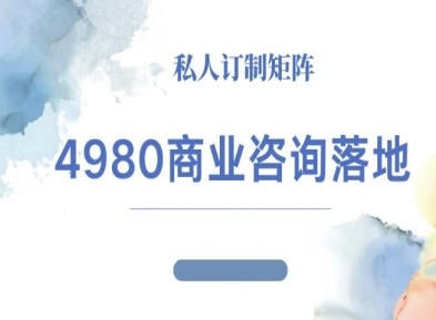4980商业咨询师落地课程-ip运营高客单教程-蓝海云网创