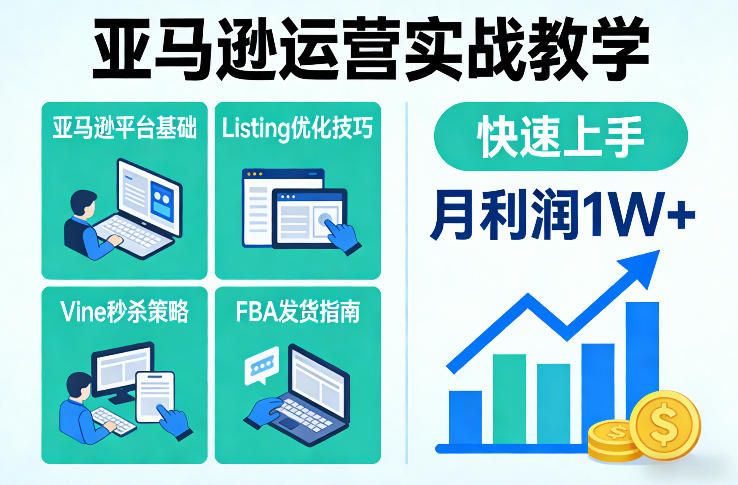 亚马逊运营实战教学，亚马逊平台+Listing优化+Vine秒杀+FBA发货等，快速上手，实现店铺月利润1W-蓝海云网创