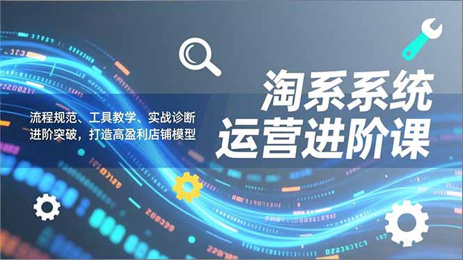 淘系系统运营进阶课2.0，流程规范、工具教学、实战诊断，进阶突破，打造高盈利店铺模型-蓝海云网创