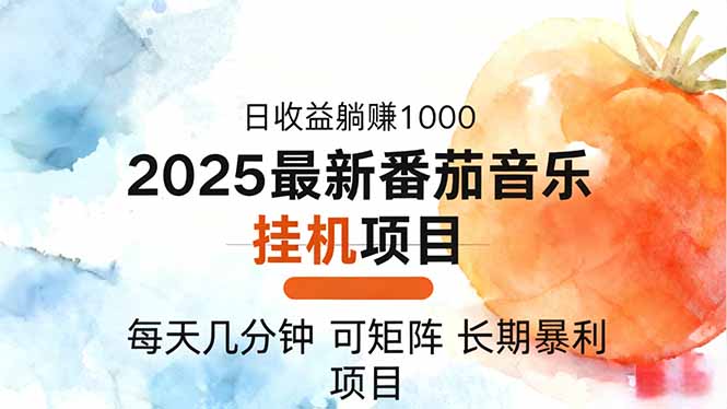 2025年最新番茄音乐人挂机项目，每天几分钟，月入1000＋，可矩阵，一台…-蓝海云网创