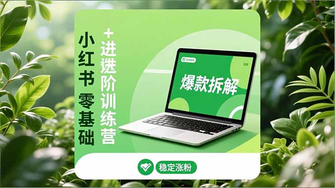 小红书零基础+高阶训练营：安全养号、爆款拆解、长效运营，实现稳定涨粉与变现-蓝海云网创