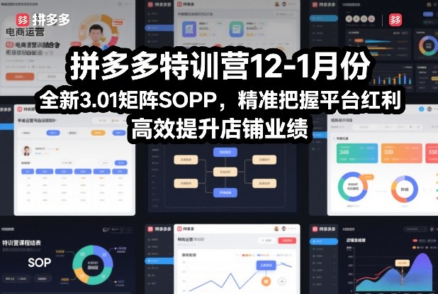 拼多多特训营12-1月份，全新3.01矩阵Sop，精准把握平台红利，高效提升店铺业绩-蓝海云网创