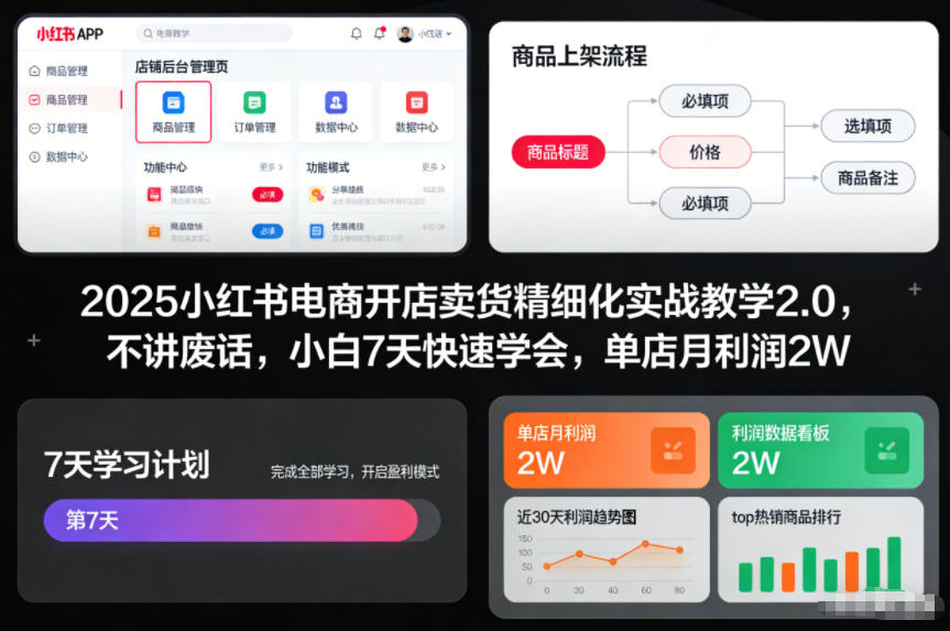 2025小红书电商开店卖货精细化实战教学2.0，不讲废话，小白7天快速学会，单店月利润2W-蓝海云网创