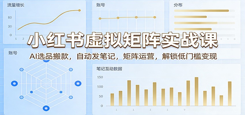 小红书虚拟矩阵实战课：AI选品搬款，自动发笔记，矩阵运营，解锁低门槛变现-蓝海云网创