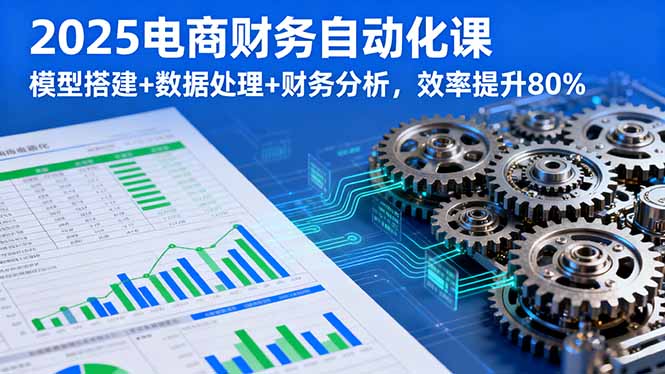 2025电商财务自动化课,模型搭建+数据处理+财务分析,效率提升80%-蓝海云网创