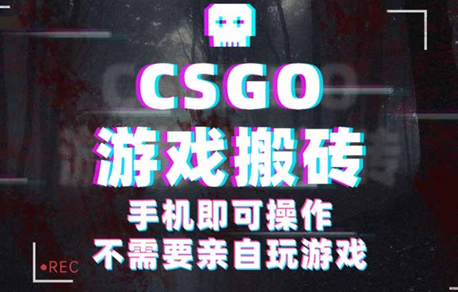 CSGO游戏挂机捡漏，单日扫货500+，年底小高峰上车可吃肉，手机即可操作…-蓝海云网创