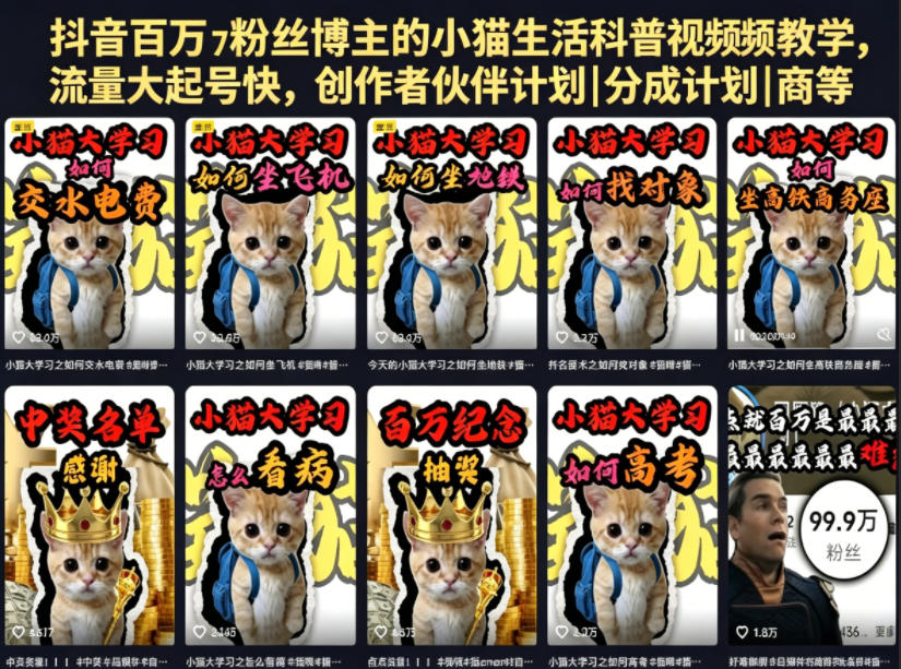 抖音百万粉丝博主的小猫生活科普视频教学，流量大起号快，创作者伙伴计划|分成计划|商单|收徒等-蓝海云网创