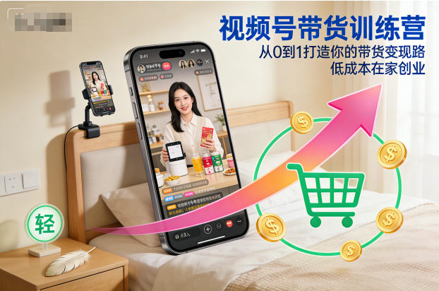 视频号带货训练营，从0到1打造你的带货变现路，低成本在家创业-蓝海云网创