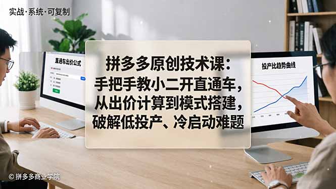 拼多多原创技术课：手把手教小二开直通车，从出价计算到模式搭建，破解低投产、冷启动难题-蓝海云网创