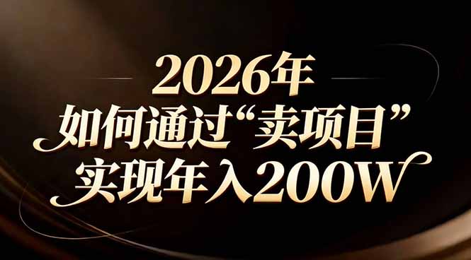 站在2026年的十字路口：一个普通人如何通过卖项目实现年入200万-蓝海云网创