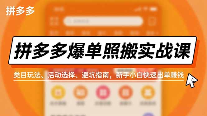 拼多多爆单照搬实战课，类目玩法、活动选择、避坑指南，新手小白快速出单赚钱-蓝海云网创