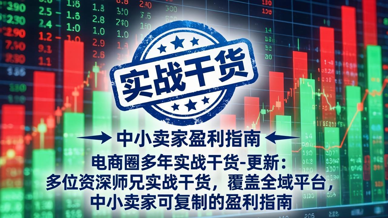 电商圈多年实战干货-更新5月20：多位资深师兄实战干货/覆盖全域平台，中小卖家可复制的盈利指南-蓝海云网创