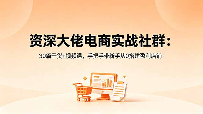 资深大佬电商实战社群：30篇干货+视频课，手把手带新手从0搭建盈利店铺-蓝海云网创