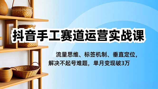 抖音手工赛道运营实战课，流量思维、标签机制、垂直定位，解决不起号难题，单月变现破3万-蓝海云网创