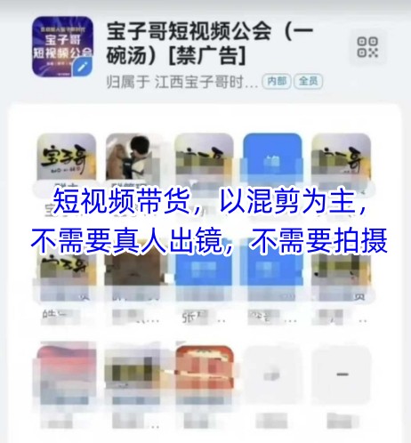 宝子哥头部团队短视频带货，以混剪为主，不需要真人出镜，不需要拍摄【更新26年1月】-蓝海云网创