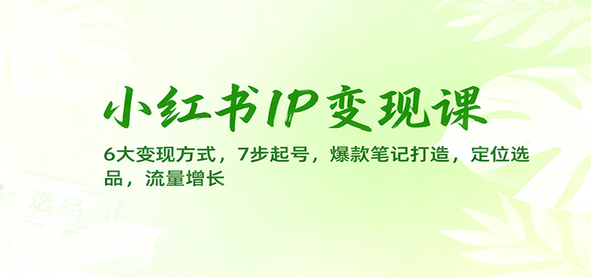 小红书IP变现课:6大变现方式,7步起号,爆款笔记打造,定位选品,流量增长-蓝海云网创