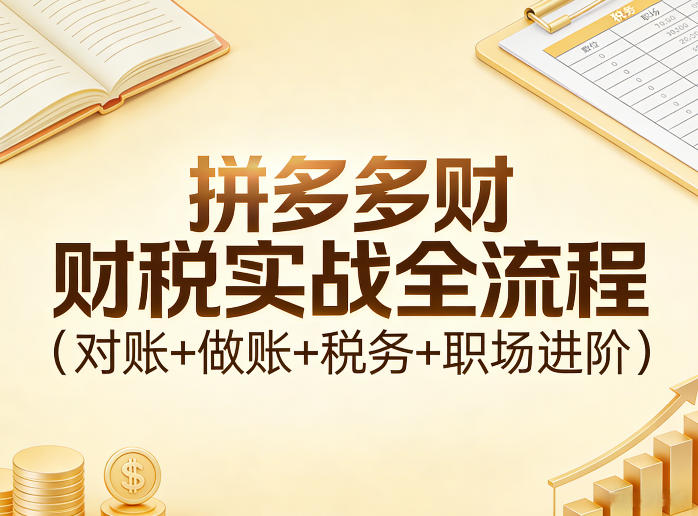 拼多多财税实战全流程(对账+做账+税务+职场进阶)-蓝海云网创