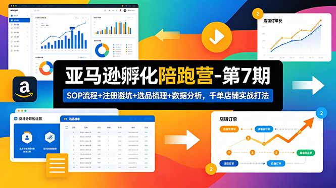 亚马逊孵化陪跑营-第7期：SOP流程+注册避坑+选品梳理+数据分析，千单店铺实战打法-蓝海云网创