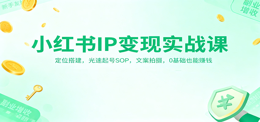 小红书IP变现实战课：定位搭建，光速起号SOP，文案拍摄，0基础也能赚钱-蓝海云网创