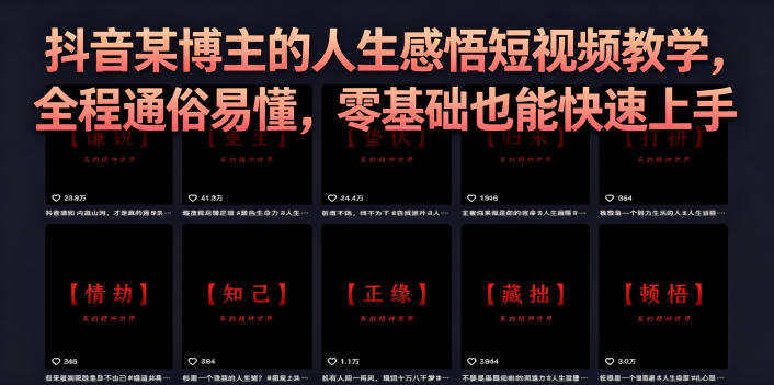 抖音某博主的灰太狼人生感悟短视频教学，全程通俗易懂，零基础也能快速上手-蓝海云网创