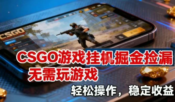 CSGO游戏挂G掘金捡漏，不需要玩游戏，操作简单，收益稳定【揭秘】-蓝海云网创