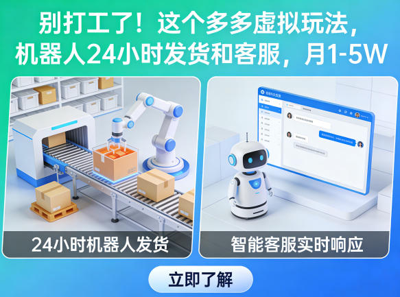 别打工了！这个多多虚拟玩法，机器人24小时发货和客服，月1-5W【揭秘】-蓝海云网创