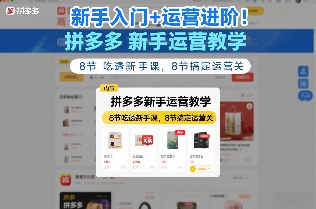 新手入门+运营进阶！拼多多新手运营教学，8节吃透新手课，8节搞定运营关-蓝海云网创