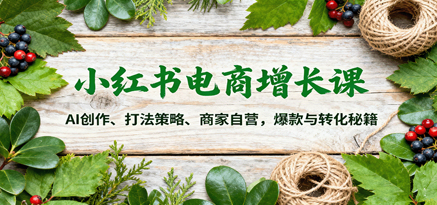 小红书电商增长课：AI创作、打法策略、商家自营，爆款与转化秘籍-蓝海云网创
