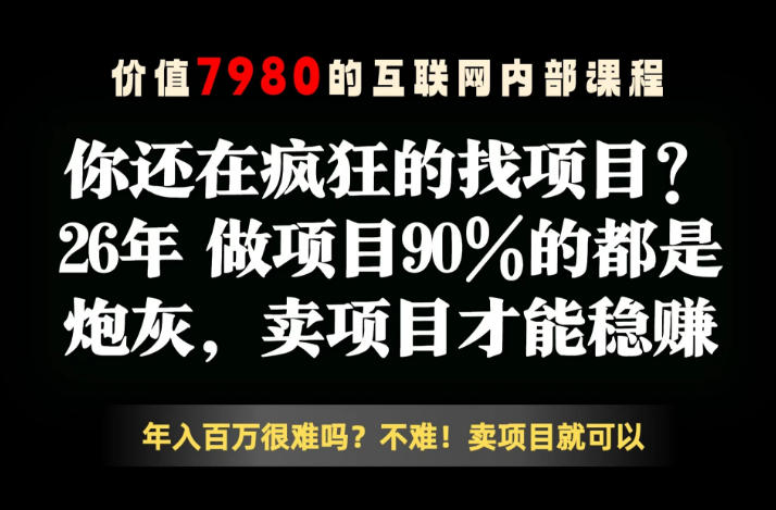 26年请不要疯狂的找项目了，卖项目远比你想象的暴利，你也可以月入10W+【揭秘】-蓝海云网创