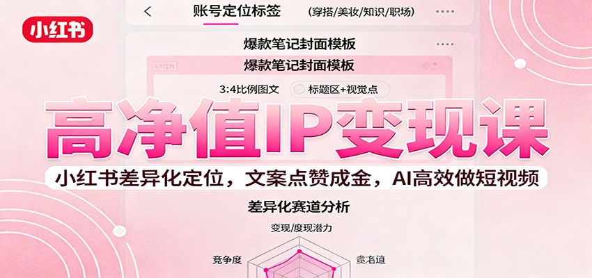 高净值IP变现课:小红书差异化定位,文案点赞成金, AI高效做短视频-蓝海云网创