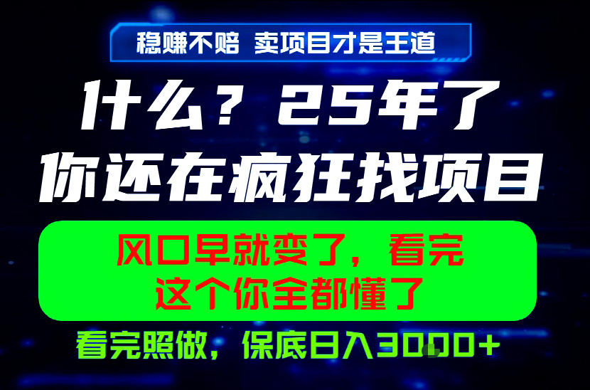 26年，请不要疯狂的找项目做了！卖项目才是真的稳賺不赔，看完照做，保底日入1k+【揭秘】-蓝海云网创