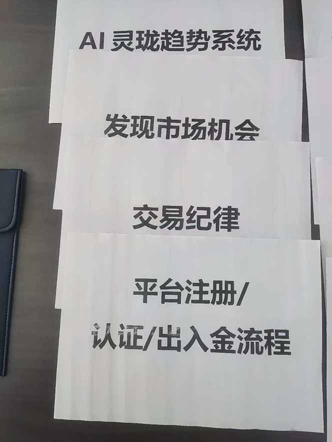 图片[3]-海外美金AI掘金项目，200U可入门槛，一天一单即可，每天1000-2000很轻松！-蓝海云网创