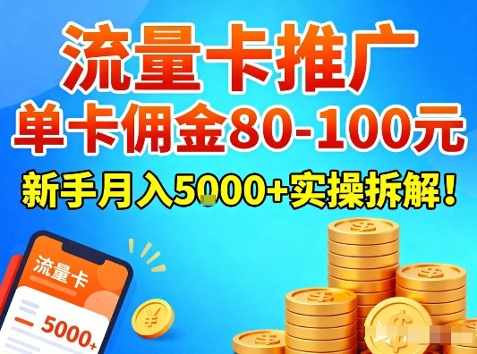 流量卡推广，单卡佣金80-100，新手月入5k+实操拆解！-蓝海云网创