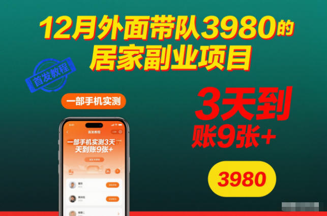 12月外面带队3980的居家副业项目,一部手机实测3天到账9张+,首发教程【揭秘】-蓝海云网创