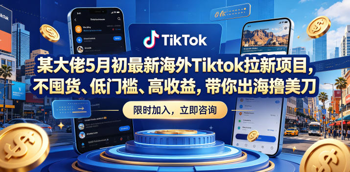某大佬5月初最新海外Tiktok拉新项目，不囤货、低门槛、高收益，带你出海撸美刀-蓝海云网创