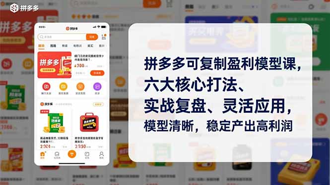 拼多多可复制盈利模型课，六大核心打法、实战复盘、灵活应用，模型清晰，稳定产出高利润-蓝海云网创