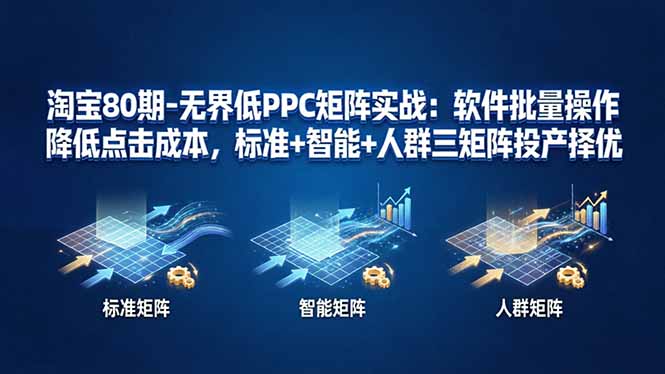 淘宝80期-无界低PPC矩阵实战:软件批量操作降低点击成本,标准+智能+人群三矩阵投产择优-蓝海云网创