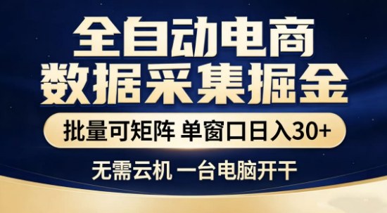独家电商数据全自动采集项目，批量可矩阵，单窗口轻松日入3张+【揭秘】-蓝海云网创