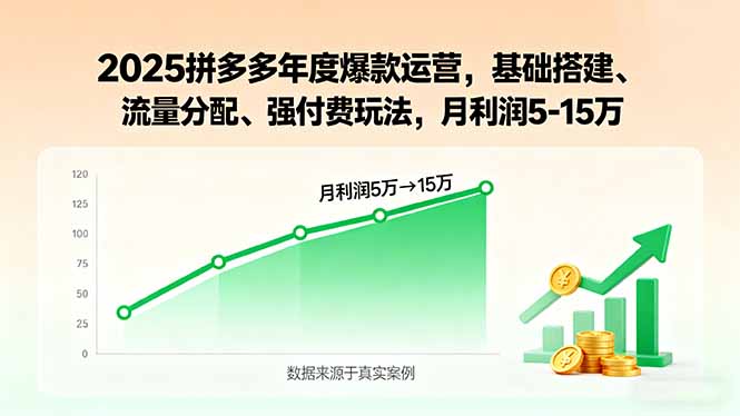 2025拼多多年度爆款运营,基础搭建、流量分配、强付费玩法,月利润5-15万-蓝海云网创