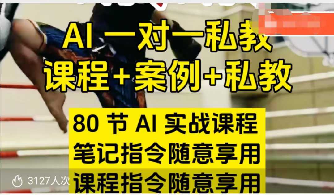 AI指令实战课，课程+案例，80节AI实战课程，笔记指令随意享用，课程指令随意享用(更新26年3月)-蓝海云网创