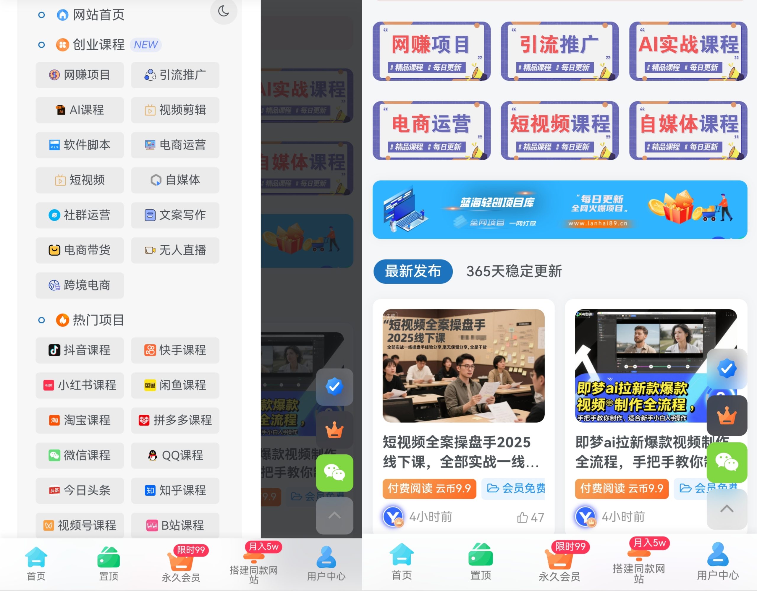 打造长期稳定收益平台：做知识付费网创资源站，日入2000+的实战心得-蓝海云网创