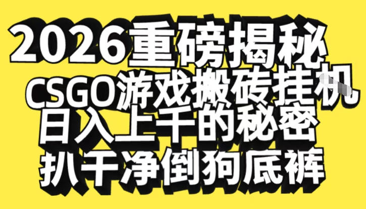 2026开年重磅解密，CSGO游戏搬砖挂G日入1k+的秘密，把倒狗的底裤扒干【揭秘】-蓝海云网创