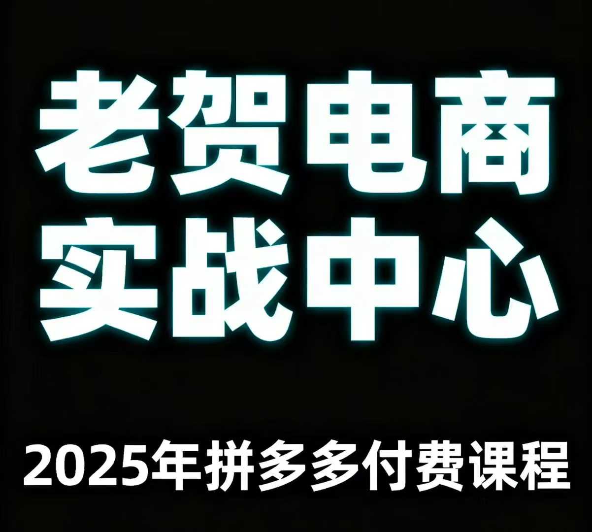 老贺电商2025年拼多多付费课程，用通俗易懂的方法告诉你多多怎么玩-蓝海云网创