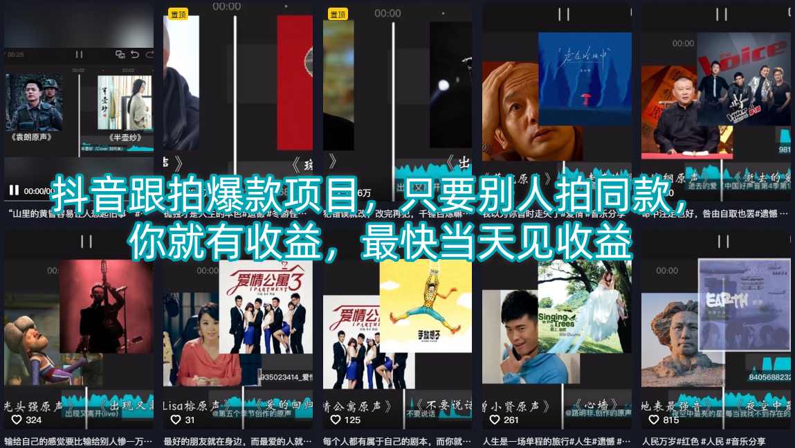 抖音跟拍爆款项目，只要别人拍同款，你就有收益，最快当天见收益-蓝海云网创