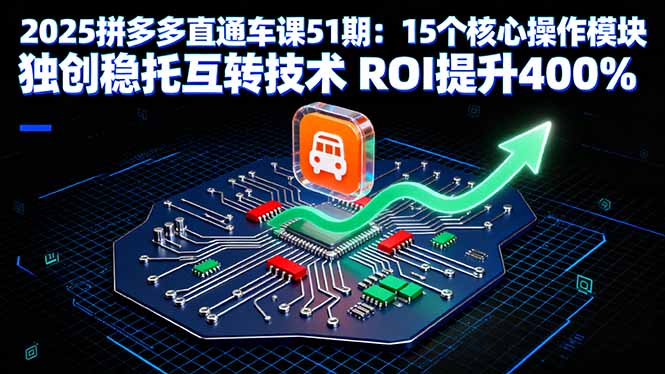 2025拼多多直通车课51期：15个核心操作模块 独创稳托互转技术 ROI提升400%-蓝海云网创