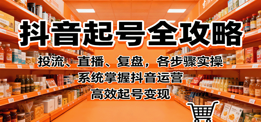 抖音起号全攻略，投流、直播、复盘，各步骤实操，系统掌握抖音运营，高效起号变现-蓝海云网创