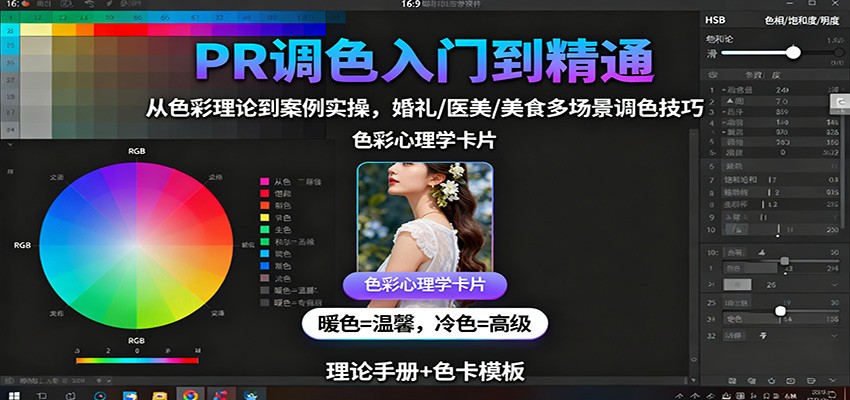 PR调色入门到精通：从色彩理论到案例实操，婚礼/医美/美食多场景调色技巧-蓝海云网创