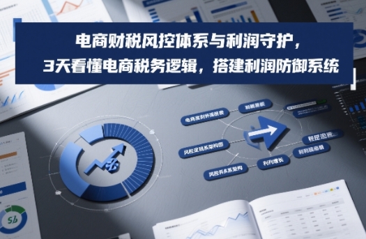 电商财税风控体系与利润守护，3天看懂电商税务逻辑，搭建利润防御系统-蓝海云网创