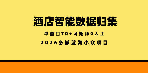 酒店智能数据归集，小众蓝海已经稳定半年之久，单窗口70+零成本矩阵开干【揭秘】-蓝海云网创