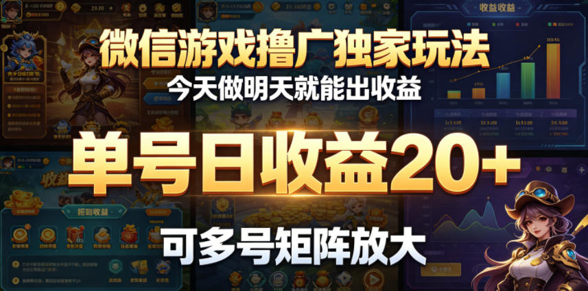 微信游戏撸广独家玩法，今天做明天就能出收益，单号日收益20+，可多号矩阵放大-蓝海云网创